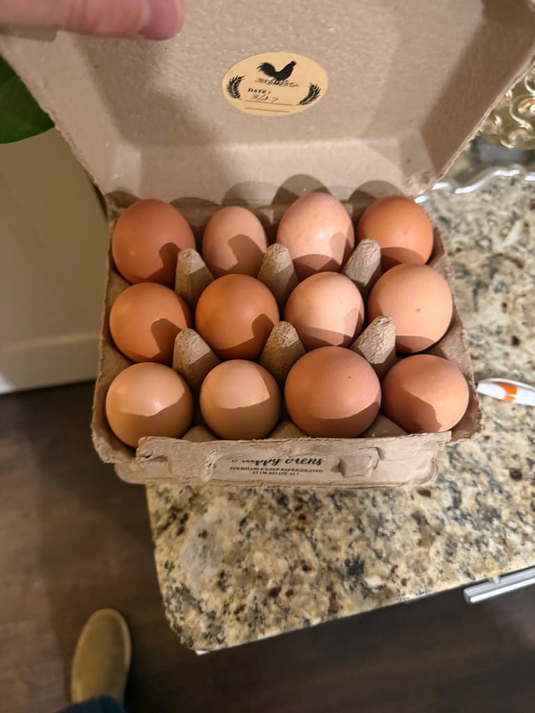 Hatching & Eating Eggs available at AM Hatchery